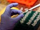 Creati per la prima volta embrioni da Dna pelle umana