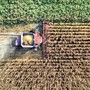 Hendron, Wild Bioscience: "Con nuove tecniche genomiche svolta storica per l’agricoltura europea"
