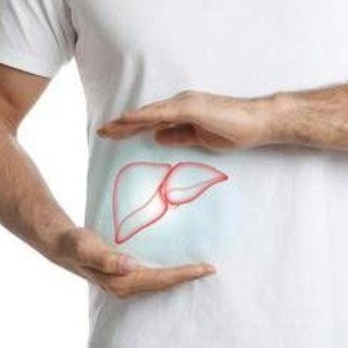 Steatosi epatica, studio dimostra efficacia nutraceutico con alghe brune