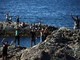 Migranti, Ue: "Controlli frontiera Italia-Spagna temporanei". Nuovo attacco di Madrid a Roma Migranti, Ue: "Controlli frontiera Italia-Spagna temporanei". Nuovo attacco di Madrid a Roma
