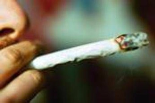 Droga, San Patrignano: &quot;Primo step cannabis e binge drinking, poi si passa a quelle sintetiche&quot;