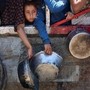 Gaza, morta 20enne arrivata a Pisa: era gravemente malnutrita