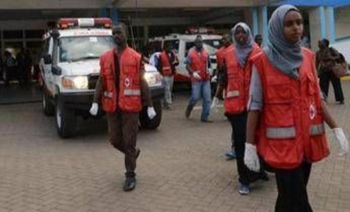 Disastro aereo in Kenya: precipita elicottero, morti sette turisti Disastro aereo in Kenya: precipita elicottero, morti sette turisti
