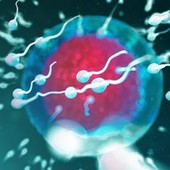 Fertilità, dove vive lui conta: regione di residenza e smog incidono su qualità sperma