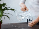 Acqua alleata anche a settembre, l’esperto: "Non aspettare di aver sete" Acqua alleata anche a settembre, l’esperto: "Non aspettare di aver sete"