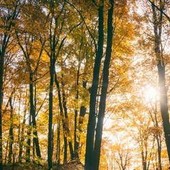 Il maltempo molla la presa, torna l'anticiclone e salgono le temperature: la tendenza dei prossimi giorni Il maltempo molla la presa, torna l'anticiclone e salgono le temperature: la tendenza dei prossimi giorni