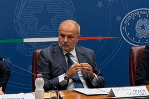 Schillaci: &quot;Api essenziali per ecosistemi, loro tutela priorità sanitaria e sociale&quot;