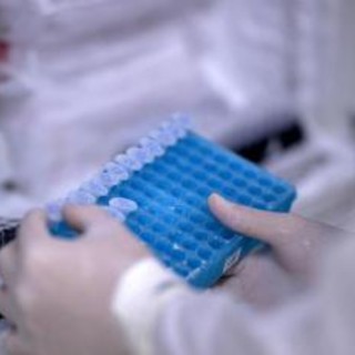 Tumori, Sos oncologi: &quot;In Italia 14 mesi per accedere a nuovi farmaci&quot;