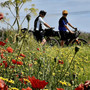 Medicina personalizzata, in bici sulla via Francigena per prevenzione e ricerca contro il cancro