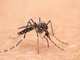 West Nile, 75enne ricoverato a Brescia in condizioni critiche