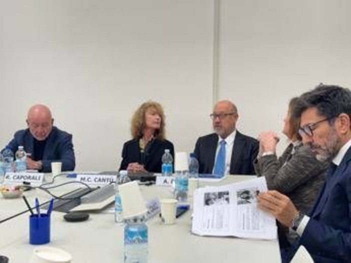 Reumatologi, al Congresso Sir terapie che regolano il sistema immunitario