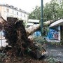 Maltempo, alberi caduti e allagamenti in Lombardia e Liguria