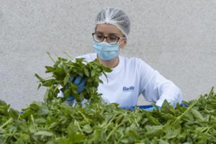 Barilla, fino a 650.000 analisi l'anno e 250 risorse dedicate per la sicurezza nel piatto Barilla, fino a 650.000 analisi l'anno e 250 risorse dedicate per la sicurezza nel piatto