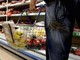 Il dilemma: insalata e affettati freschi o in busta? Guida pratica per pasti express e i rischi da evitare Il dilemma: insalata e affettati freschi o in busta? Guida pratica per pasti express e i rischi da evitare
