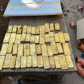 Che fine ha fatto il tesoro trovato in Belgio durante uno scavo: "C'erano monete e lingotti d'oro da 9 milioni di euro Che fine ha fatto il tesoro trovato in Belgio durante uno scavo: "C'erano monete e lingotti d'oro da 9 milioni di euro