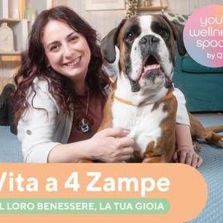 Qvc Italia, debutta nuova categoria pet care con uno show su amici a quattro zampe