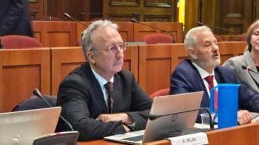 Ai, Milan (Agcom): "Ora possiamo affrontare nuovi temi ingegneristici" Ai, Milan (Agcom): "Ora possiamo affrontare nuovi temi ingegneristici"