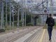 Persone sui binari, treni fermi sulla Genova-Savona: stop circolazione per 40 minuti