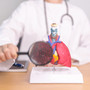 Fibrosi cistica, Aifa rinnova e amplia anche a bimbi rimborsabilità trattamenti