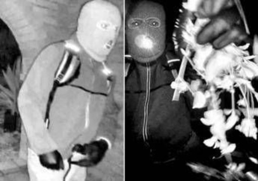 Usa, rapita madre conduttrice Nbc: trovato guanto del rapitore, attesa per Dna Usa, rapita madre conduttrice Nbc: trovato guanto del rapitore, attesa per Dna