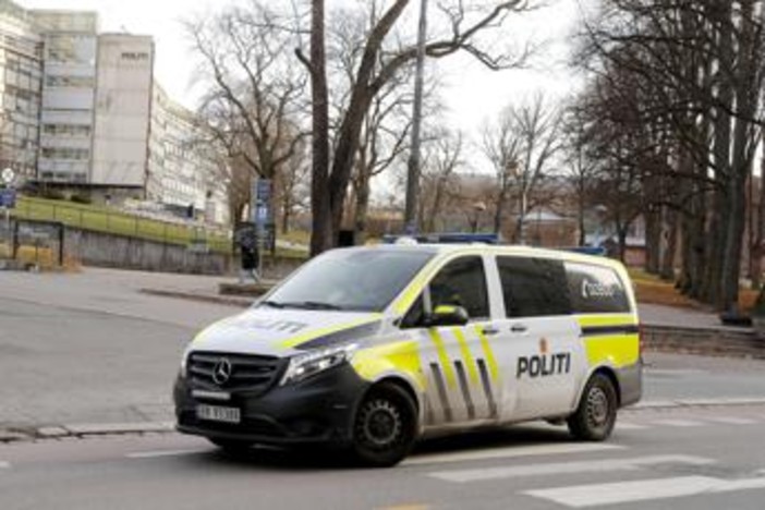 Arrestato 16enne in Norvegia: "Preparava attentato in una scuola materna"