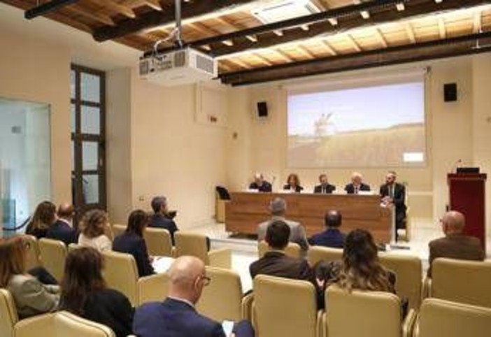 Made in Italy, Cipollina (Mondelēz Italia): "Sostenibilità pilastro strategico per crescita e filiere agricole" Made in Italy, Cipollina (Mondelēz Italia): "Sostenibilità pilastro strategico per crescita e filiere agricole"