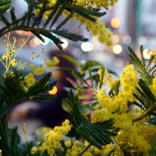 8 marzo, su Tivusat una maratona di musica al femminile da tutto il mondo