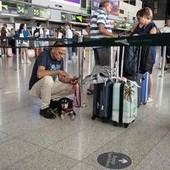 Etna, aeroporto di Catania chiuso: voli sospesi fino alle 12 di lunedì 28 settembre Etna, aeroporto di Catania chiuso: voli sospesi fino alle 12 di lunedì 28 settembre