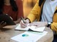 L'università a 14 anni, la maturità a 12: due fratelli 'prodigio' in Inghilterra L'università a 14 anni, la maturità a 12: due fratelli 'prodigio' in Inghilterra