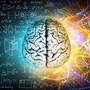 Milano, BrainSpace house per scoprire legame tra benessere di mente e cervello Milano, BrainSpace house per scoprire legame tra benessere di mente e cervello