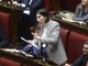 Pd evita frattura alla Camera, non si vota la risoluzione 'no al riarmo'