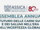 Alimenti, il futuro delle carni suine oggi all'assemblea Assica Alimenti, il futuro delle carni suine oggi all'assemblea Assica