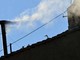 Conclave, la fumata è bianca: la Chiesa ha un nuovo Papa