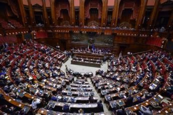 Manovra, 'Natale ad Atreju' e aiuti alle gattare: la lunga notte dei deputati alla Camera Manovra, 'Natale ad Atreju' e aiuti alle gattare: la lunga notte dei deputati alla Camera
