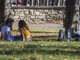 Weekend senza allerta rossa caldo, oggi solo una città con bollino giallo Weekend senza allerta rossa caldo, oggi solo una città con bollino giallo