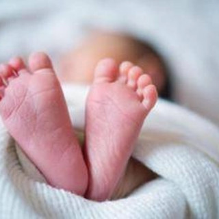 Bonus nuovi nati 2025, domande all'Inps al via da oggi: come chiederlo