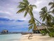 Cinque italiani morti alle Maldive durante un'immersione Cinque italiani morti alle Maldive durante un'immersione