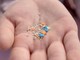 Salute, studio italiano: "Infarti più gravi con microplastiche, fumo e inquinamento"