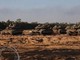 Gaza, Israele lancia nuova grande offensiva: al via operazione 'Carri di Gedeone'