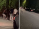 Taormina, auto a tutta velocità su giovani fuori da una discoteca - Il video