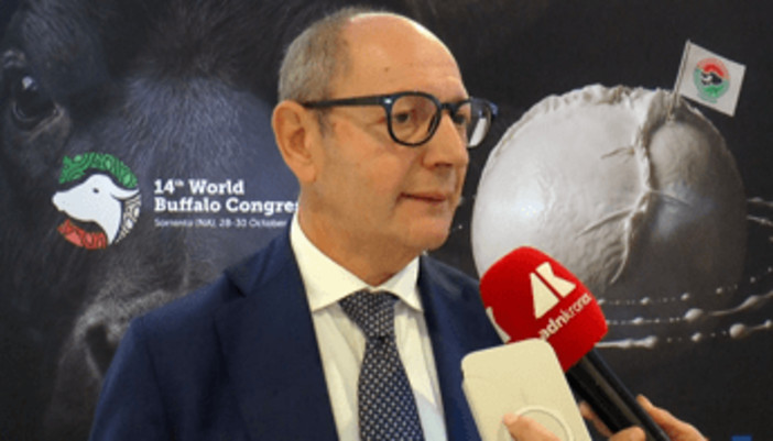 Raimondo (Tutela mozzarella bufala campana Dop): "Filiera 1,2-1,3 mld, quasi una Fiat"