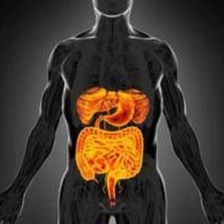 Intestino sempre giovane, è possibile: come fermare invecchiamento e prevenire tumori