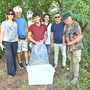 Gruppo Cap, 2.500 alborelle cresciute nel depuratore di Canegrate tornano nei fiumi lombardi