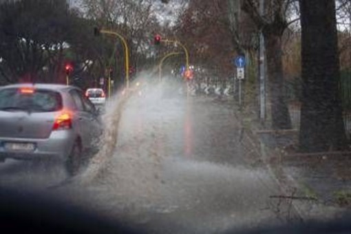 Maltempo, un morto nel Senese. Una donna annega in auto a Udine Maltempo, un morto nel Senese. Una donna annega in auto a Udine
