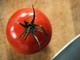 Rischio salmonella a Bari, Asl vieta pomodori freschi in mense nidi, scuole e Rsa Rischio salmonella a Bari, Asl vieta pomodori freschi in mense nidi, scuole e Rsa