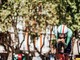 Ganna argento europeo nella crono elite, trionfa Evenepoel