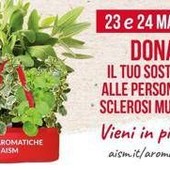 Settimana nazionale della sclerosi multipla, tornano le erbe aromatiche Aism in 500 piazze