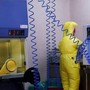 Shamonda virus, primo caso umano: cosa sappiamo, tutti i rischi