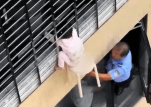 Bimba di 3 anni si sporge dalla finestra al 12esimo piano e resta sospesa nel vuoto: il miracoloso salvataggio - VIDEO Bimba di 3 anni si sporge dalla finestra al 12esimo piano e resta sospesa nel vuoto: il miracoloso salvataggio - VIDEO
