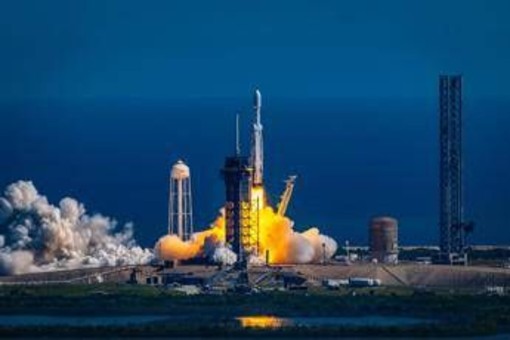 Il segreto per i viaggi nello spazio? I funghi di Chernobyl: la scoperta